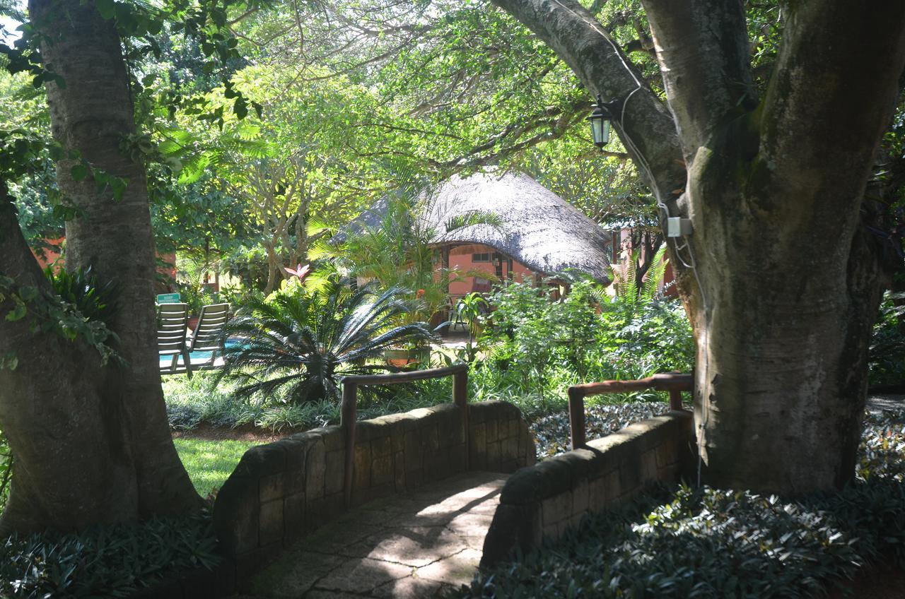 Bushbaby Lodge & Camping Hluhluwe Dış mekan fotoğraf