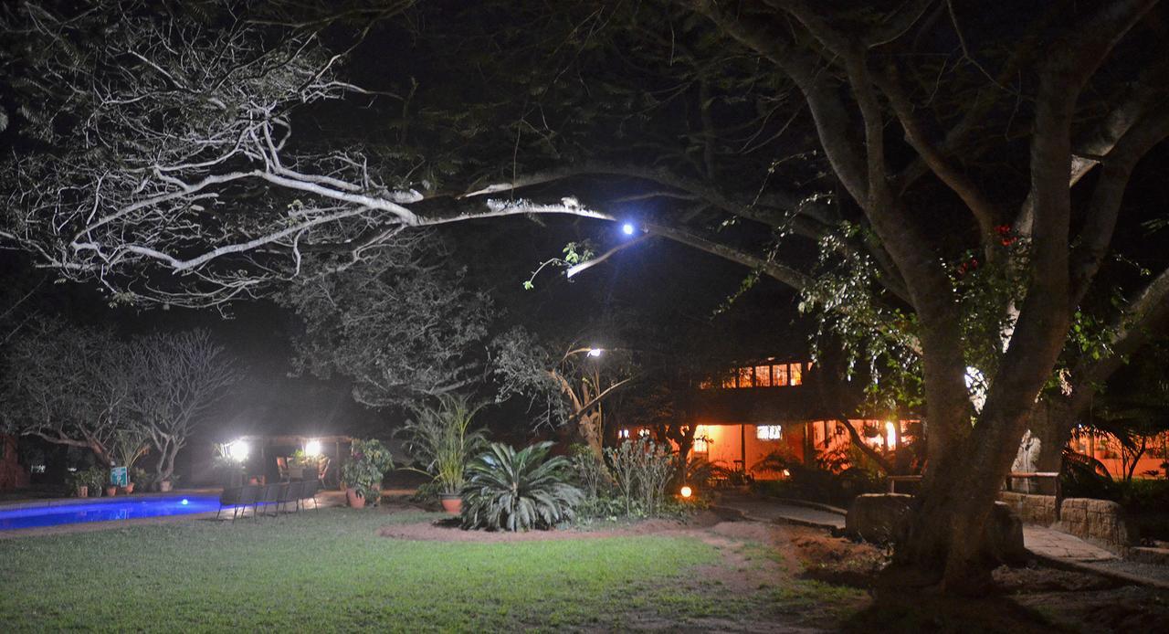 Bushbaby Lodge & Camping Hluhluwe Dış mekan fotoğraf