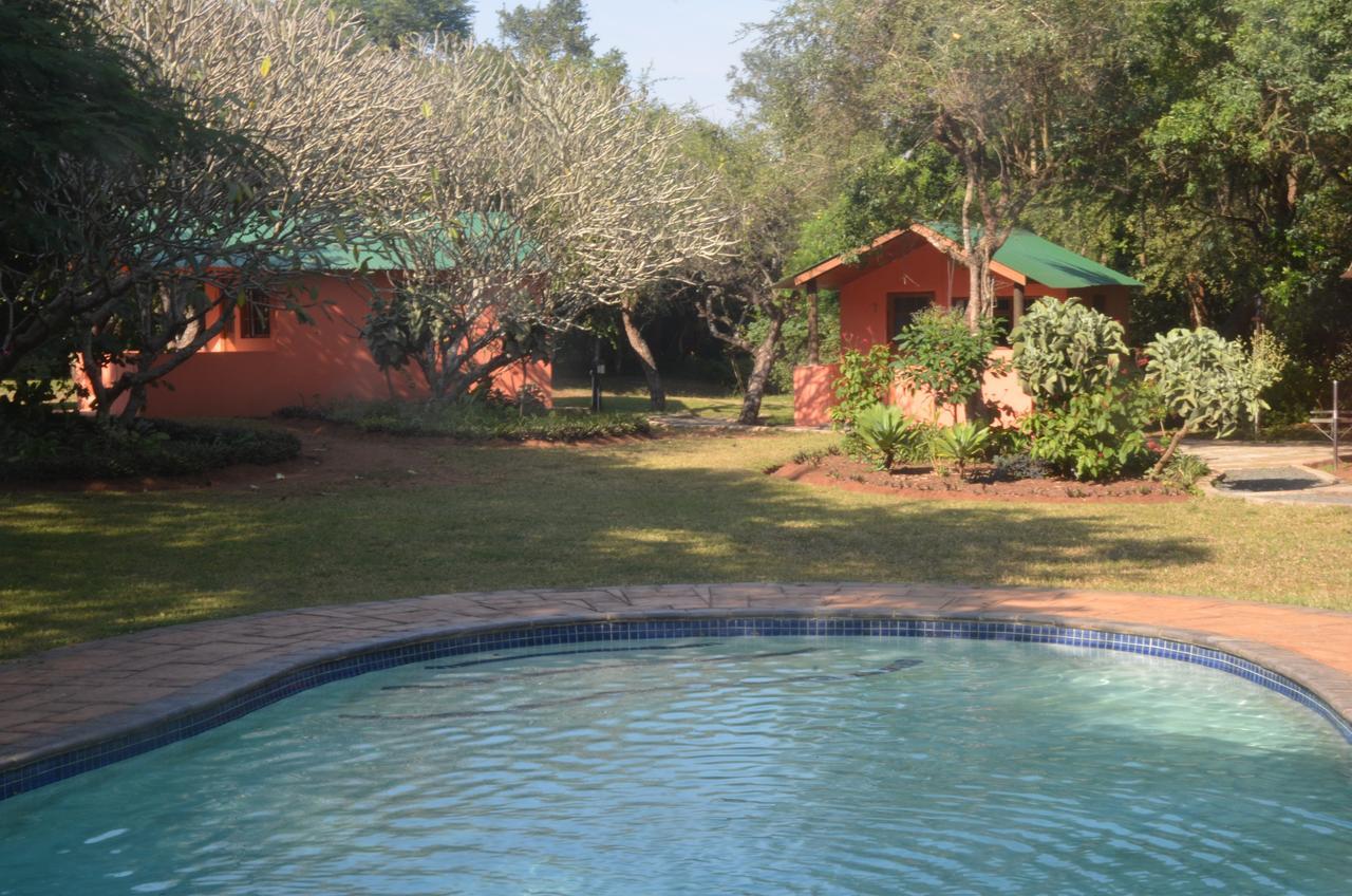 Bushbaby Lodge & Camping Hluhluwe Dış mekan fotoğraf
